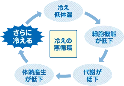 冷えの悪循環